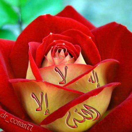 temena 3etiha fayrouzzzzzzzzzzzzzz