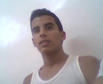 sachbi